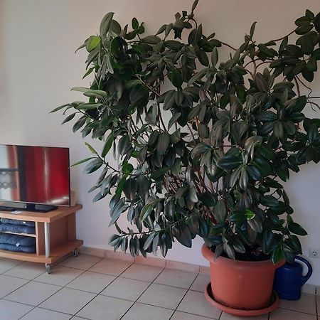Ferienwohnung Ferstl リーデンブルク エクステリア 写真
